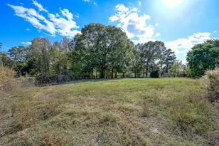200 Acres Spring Branch Rd, Montgomery, TX 77316 - Photo 26