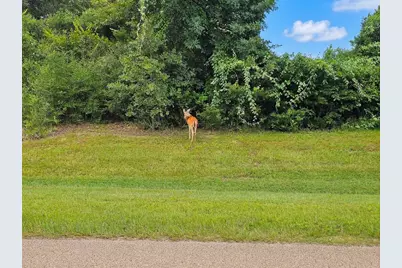 10069 Oxford Lane, Iola, TX 77861 - Photo 10