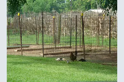 2449 Precinct Line Road, Richmond, TX 77406 - Photo 10