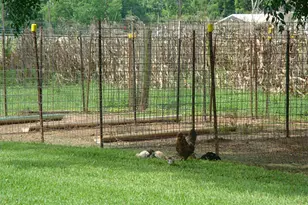 2449 Precinct Line Rd, Richmond, TX 77406 - Photo 10