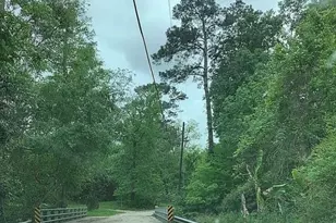 73 Dogwood Ln, Houston, TX 77365 - Photo 2