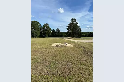 24954 Bailey Grove Road, Montgomery, TX 77356 - Photo 8
