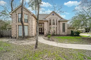 67 N Skyflower Ct, The Woodlands, TX 77381 - Photo 1