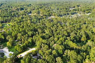 25973 Sussex, New Caney, TX 77357 - Photo 6