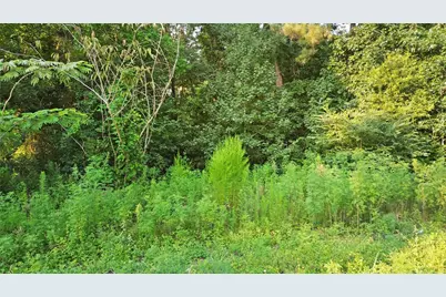 25973 Sussex, New Caney, TX 77357 - Photo 4