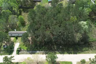 25852 Essex, New Caney, TX 77357 - Photo 4