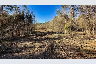 Tbd #15 County Road 475A, Henderson, TX 75654 - Photo 22