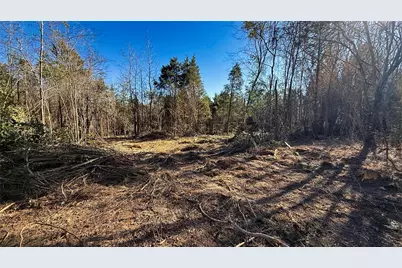 Tbd #15 County Road 475A, Henderson, TX 75654 - Photo 12