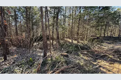 Tbd #15 County Road 475A, Henderson, TX 75654 - Photo 28