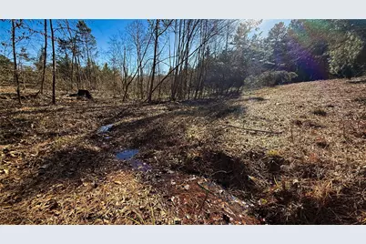 Tbd #15 County Road 475A, Henderson, TX 75654 - Photo 4