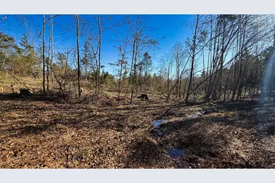 Tbd #15 County Road 475A, Henderson, TX 75654 - Photo 2