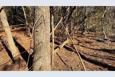 Tbd #15 County Road 475A, Henderson, TX 75654 - Photo 16