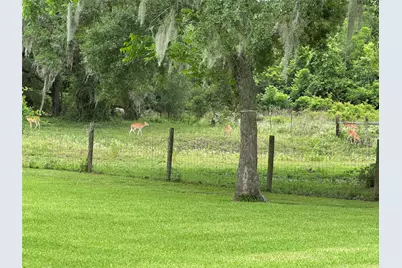 2668 Fm 522 Road, Brazoria, TX 77422 - Photo 12