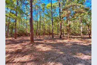 1842 Fm 2423, Grapeland, TX 75844 - Photo 42