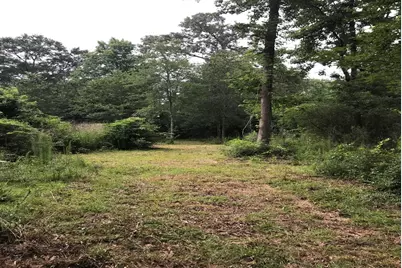 26150 Grand Pines Road, Magnolia, TX 77355 - Photo 6