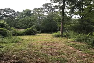 26150 Grand Pines Rd, Magnolia, TX 77355 - Photo 6