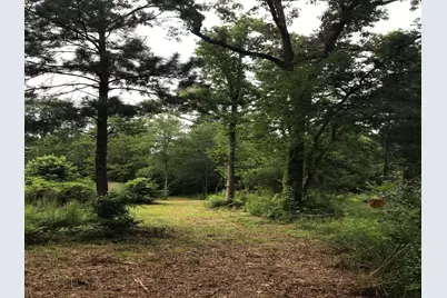 26150 Grand Pines Road, Magnolia, TX 77355 - Photo 2