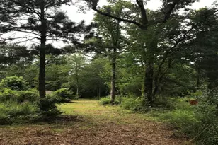 26150 Grand Pines Rd, Magnolia, TX 77355 - Photo 2