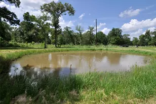 26150 Grand Pines Rd, Magnolia, TX 77355 - Photo 12