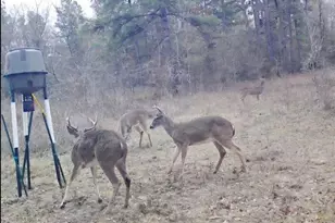 0 Archie Rd, Huntsville, TX 77340 - Photo 1