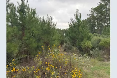 9420 Fm 355, Trinity, TX 75862 - Photo 12