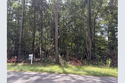 0 W Black Gum Drive, Village Mills, TX 77663 - Photo 4