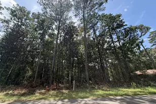0 W Black Gum Dr, Village Mills, TX 77663 - Photo 1