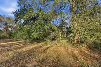 12108 N Lakewood Drive, Splendora, TX 77372 - Photo 10