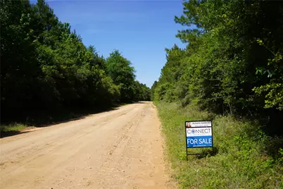 0001 E Tbd Schwab Rd / Sh 146 Road, Livingston, TX 77351 - Photo 2