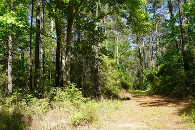 0001 E Tbd Schwab Rd / Sh 146 Road, Livingston, TX 77351 - Photo 4
