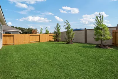 10374 Red Cardinal Drive, Cleveland, TX 77328 - Photo 2