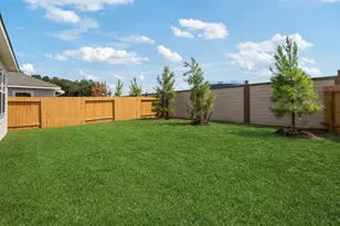 10374 Red Cardinal Dr, Cleveland, TX 77328 - Photo 2