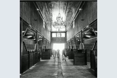 23981 Old Dobbin Plantersville Road, Montgomery, TX 77316 - Photo 8