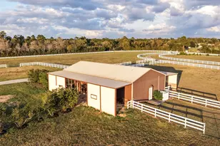 23981 Old Dobbin Plantersville Rd, Montgomery, TX 77316 - Photo 30