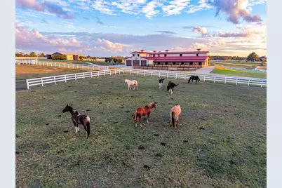 23981 Old Dobbin Plantersville Road, Montgomery, TX 77316 - Photo 36