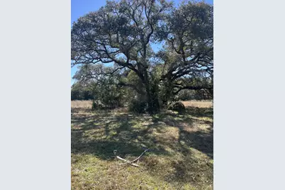 1165 Cr 213 Tract 2, Weimar, TX 78962 - Photo 2