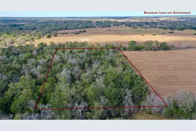 Lot 2 County Road 229, Bedias, TX 77831 - Photo 4
