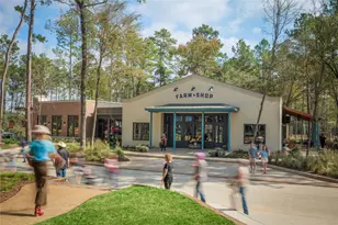 11415 Mandolin Dr, Montgomery, TX 77316 - Photo 8