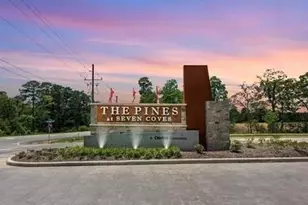 248 Seven Pnes Dr, Willis, TX 77378 - Photo 12