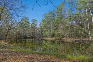 893 Capps Rd, Huntington, TX 75949 - Photo 20