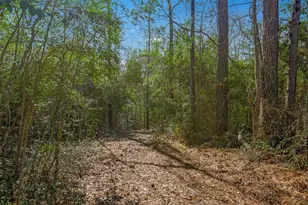 893 Capps Rd, Huntington, TX 75949 - Photo 22