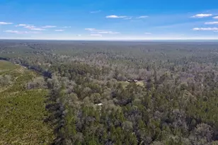 893 Capps Rd, Huntington, TX 75949 - Photo 30