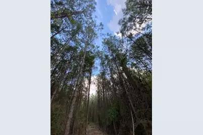 0 Ghost Scenic Road, Kountze, TX 77625 - Photo 6