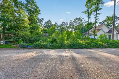 0 Mustang Avenue, Willis, TX 77378 - Photo 10