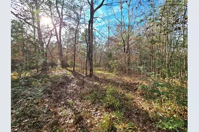 Tbd Dejardo Lane, Coldspring, TX 77331 - Photo 40