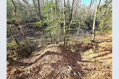 Tbd Dejardo Lane, Coldspring, TX 77331 - Photo 42