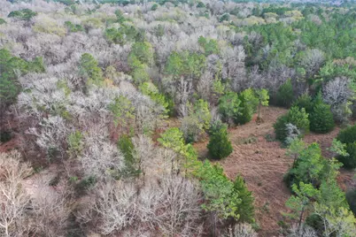 Tbd Dejardo Lane, Coldspring, TX 77331 - Photo 8