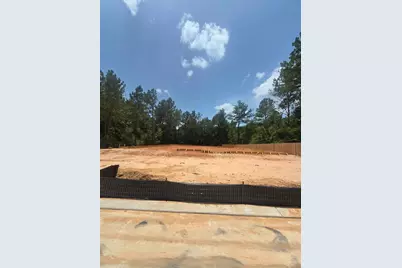 41685 Wendele Way, Montgomery, TX 77316 - Photo 34