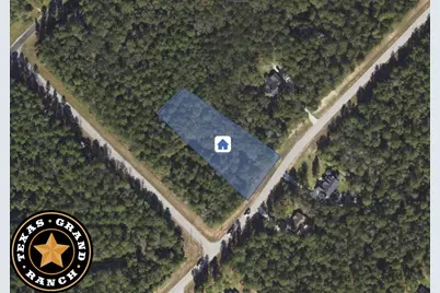 5-6-229 Dipping Vat Road, Huntsville, TX 77340 - Photo 4