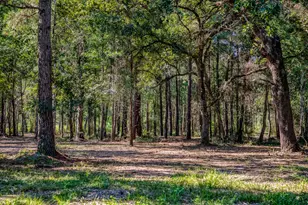 31801 Reids Prairie Rd, Waller, TX 77484 - Photo 1